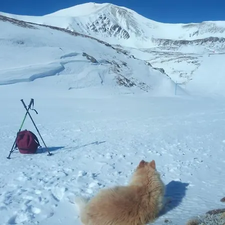 En Parc Natural Del Ter 2000 Metres Chalet *
