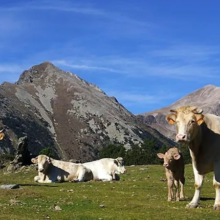 Chalet En Parc Natural Del Ter 2000 Metres Setcases