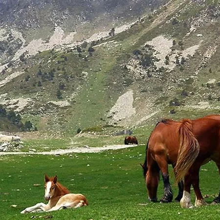 En Parc Natural Del Ter 2000 Metres Setcases